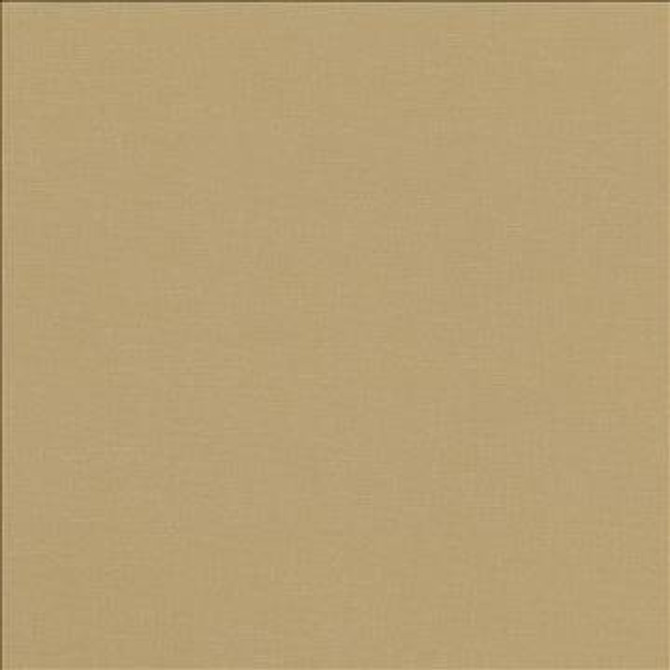 Pirouette Cashew by Kasmir Fabric 5054 100% Polyester INDIA 45,000 Wyzenbeek Double Rubs H: N/A, V: N/A 54 - 55 - Fabric Carolina - Kasmir