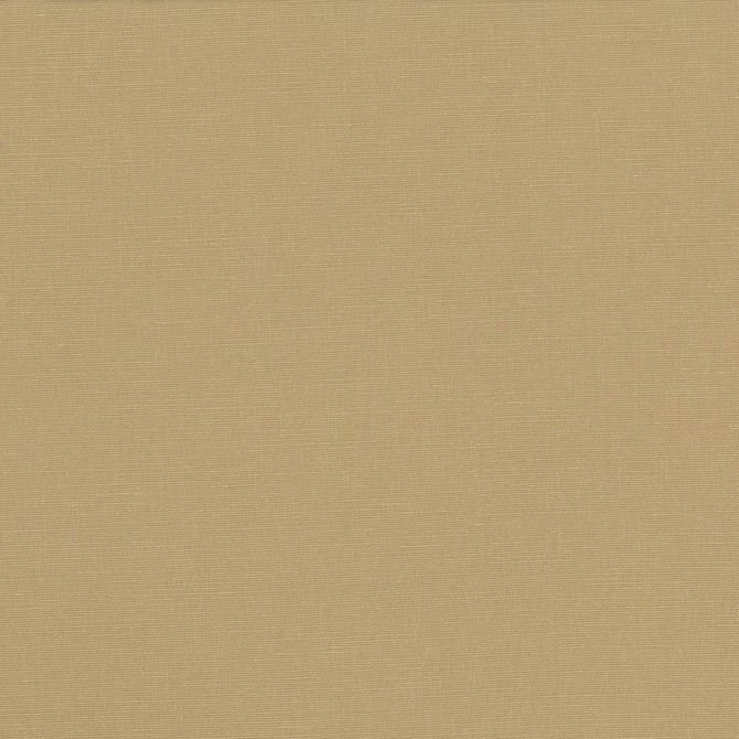 Pirouette Cashew by Kasmir Fabric 5054 100% Polyester INDIA 45,000 Wyzenbeek Double Rubs Horizontal: 0 Inches and Vertical: 0 Inches 54 - 55 - Fabric Carolina -