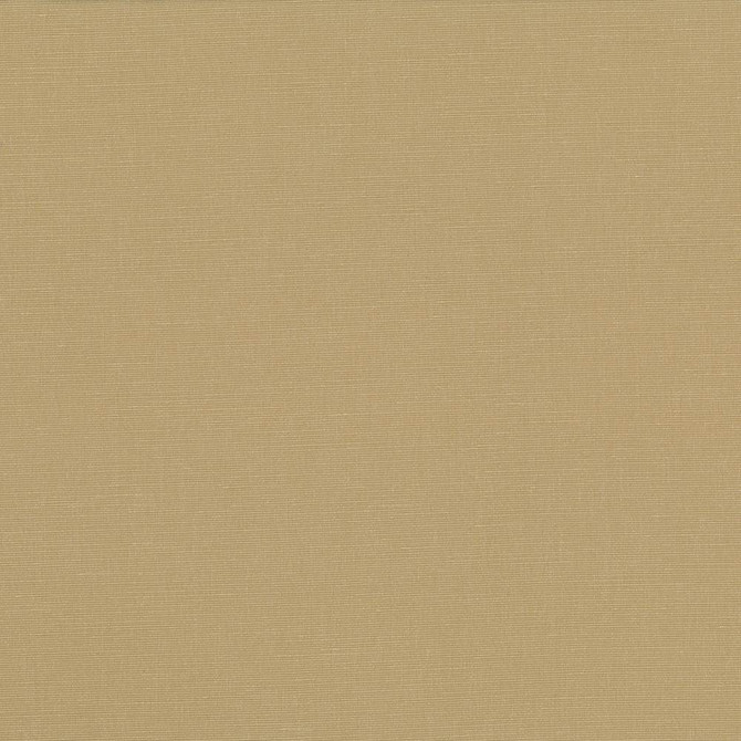 Pirouette Cashew by Kasmir Fabric 5054 100% Polyester
 INDIA </p><p>Repeat: Horizontal: N/A and Vertical: N/A 54 - 55 - Fabric Carolina -