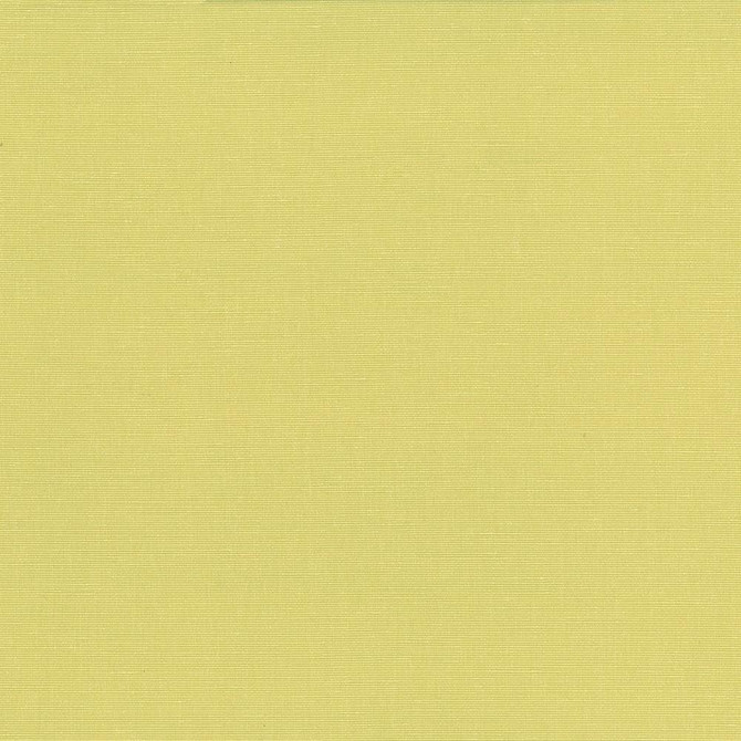 Pirouette Citrus by Kasmir Fabric 5054 100% Polyester
 INDIA </p><p>Repeat: Horizontal: N/A and Vertical: N/A 54 - 55 - Fabric Carolina -