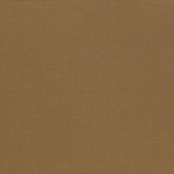Pirouette Cognac by Kasmir Fabric 5054 100% Polyester
 INDIA </p><p>Repeat: Horizontal: N/A and Vertical: N/A 54 - 55 - Fabric Carolina -