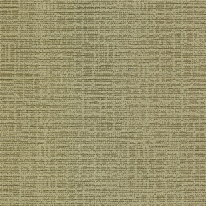 Regis Chartreuse by Kasmir Fabric 5099 100% Polyester
 CHINA 125,000 Wyzenbeek Double Rubs </p><p>Repeat: Horizontal: N/A and Vertical: N/A 55 - Fabric Carolina -