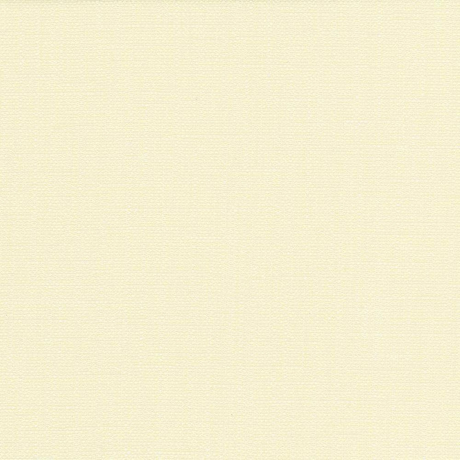 San Carlos Alabaster by Kasmir Fabric 5050 INDIA 25,000 Wyzenbeek Double Rubs H: N/A, V:N/A 54 - 55 - Fabric Carolina - Kasmir