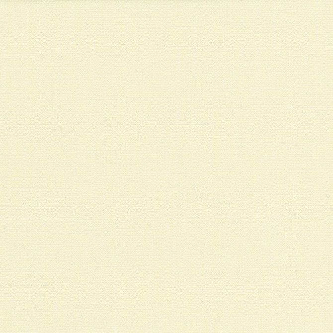 San Carlos Alabaster by Kasmir Fabric 5050 100% Polyester
 INDIA 25,000 Wyzenbeek Double Rubs Horizontal: N/A and Vertical: N/A 54 - Fabric Carolina -