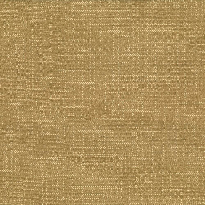 San Carlos Dune  by Kasmir Fabric See sample 100% Polyester
 INDIA 25,000 Wyzenbeek Double Rubs </p><p>Repeat: Horizontal: N/A and Vertical: N/A 54  - Fabric Carolina -