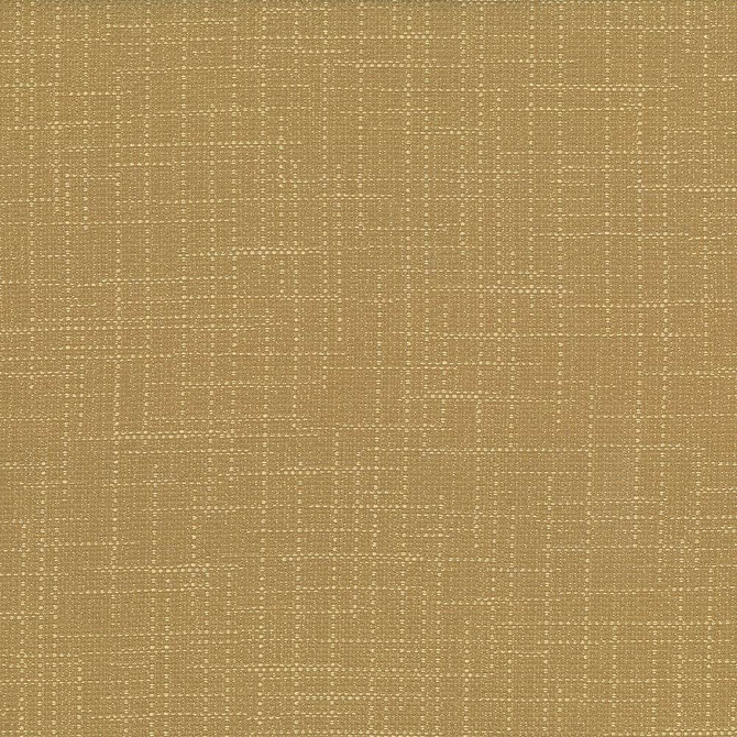 San Carlos Dune by Kasmir Fabric 5050 100% Polyester
 INDIA </p><p>Repeat: Horizontal: N/A and Vertical: N/A 54 - 55 - Fabric Carolina -