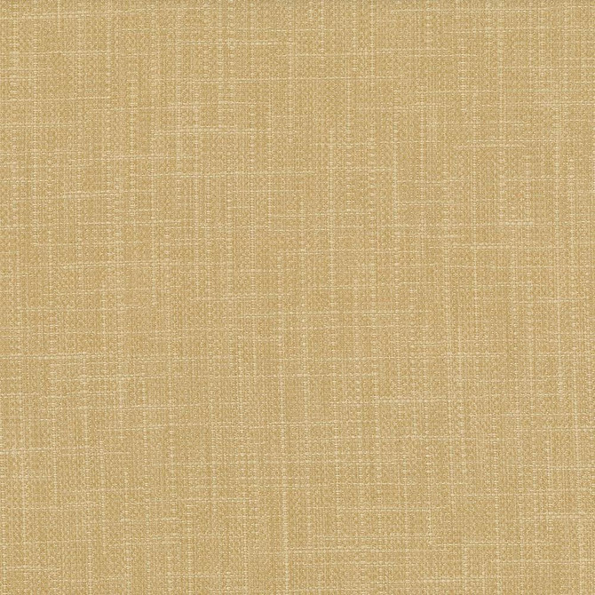 San Carlos Flax by Kasmir Fabric 5050 100% Polyester
 INDIA 25,000 Wyzenbeek Double Rubs Horizontal: N/A and Vertical: N/A 54 - Fabric Carolina -