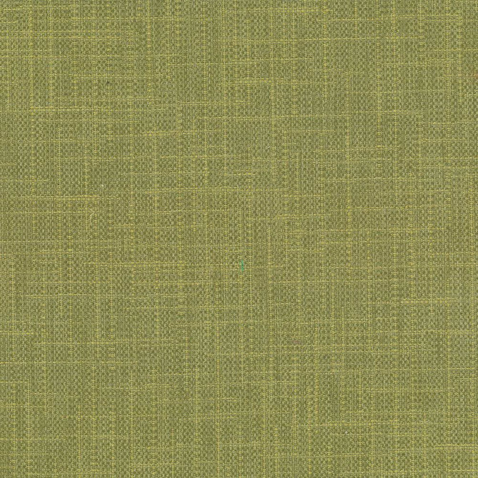San Carlos Herb by Kasmir Fabric 5050 100% Polyester
 INDIA 25,000 Wyzenbeek Double Rubs Horizontal: N/A and Vertical: N/A 54 - Fabric Carolina -