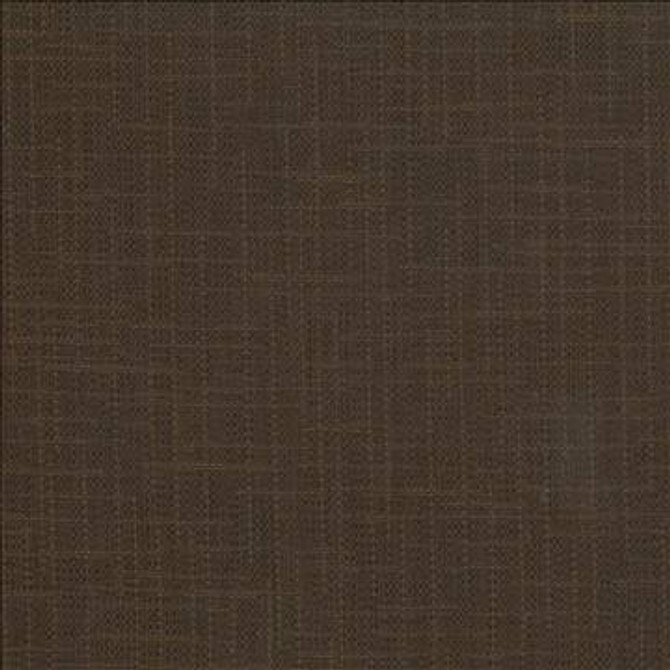 San Carlos Teak by Kasmir Fabric 5050 100% Polyester INDIA 25,000 Wyzenbeek Double Rubs H: N/A, V: N/A 54 - 55 - Fabric Carolina - Kasmir