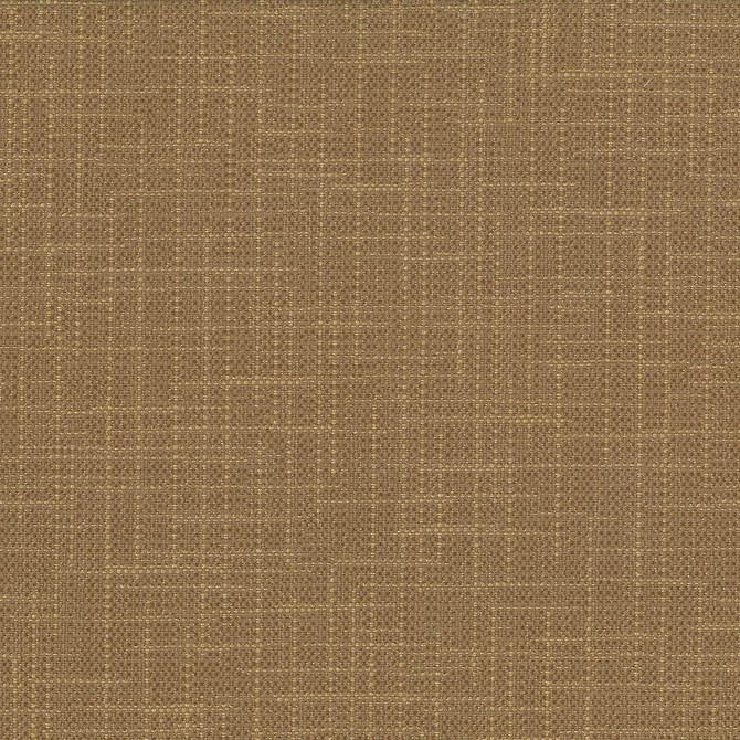 San Carlos Terrain by Kasmir Fabric 5050 100% Polyester INDIA 25,000 Wyzenbeek Double Rubs Horizontal: 0 Inches and Vertical: 0 Inches 54 - 55 - Fabric Carolina -