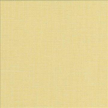 San Carlos Wheat by Kasmir Fabric 5050 100% Polyester INDIA 25,000 Wyzenbeek Double Rubs H: N/A, V: N/A 54 - 55 - Fabric Carolina - Kasmir