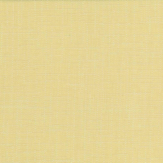San Carlos Wheat by Kasmir Fabric 5050 100% Polyester
 INDIA </p><p>Repeat: Horizontal: N/A and Vertical: N/A 54 - 55 - Fabric Carolina -