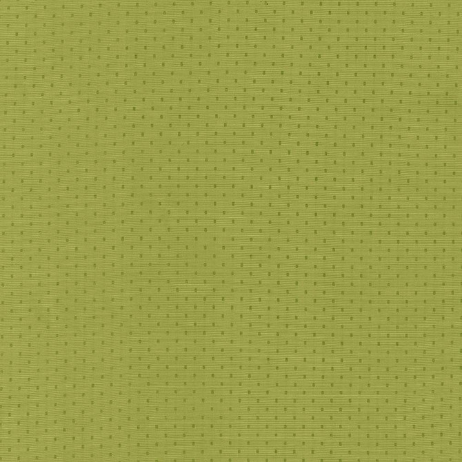 Scruple Lime by Kasmir Fabric 5099 INDIA 20,000 Wyzenbeek Double Rubs H: 6/8 inches, V:6/8 inches 54 - 55 - Fabric Carolina - Kasmir