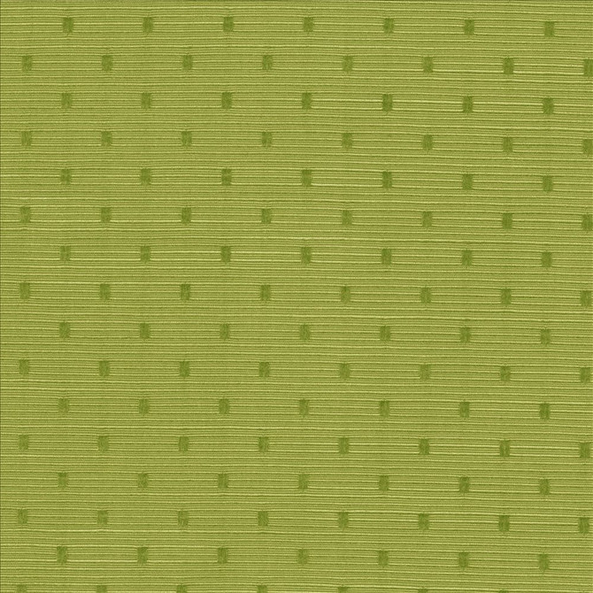 Scruple Lime by Kasmir Fabric 5099 100% Polyester
 INDIA </p><p>Repeat: Horizontal: 6/8 inches and Vertical: 6/8 inches 54 - 55 - Fabric Carolina -
