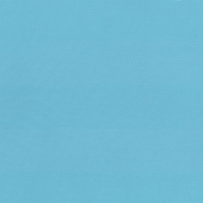 Seductive Capri by Kasmir Fabric 5052 100% Polyester
 INDIA </p><p>Repeat: Horizontal: N/A and Vertical: N/A 53 - Fabric Carolina -