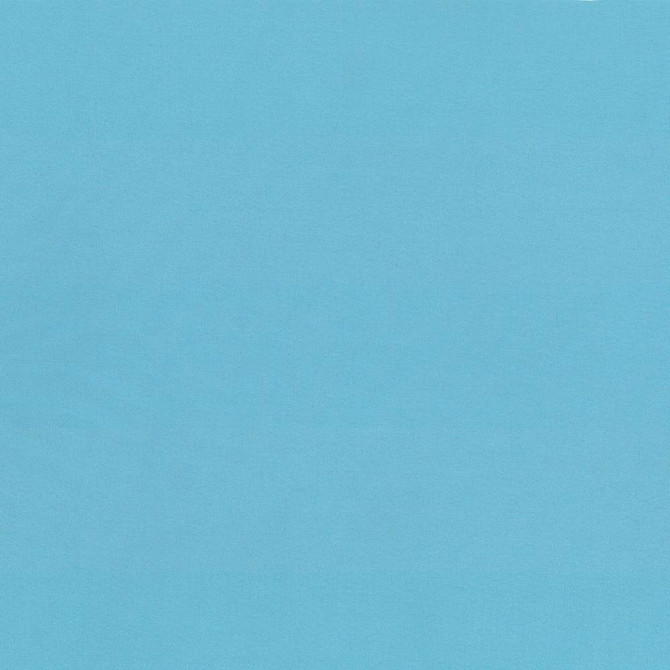 Seductive Capri by Kasmir Fabric 5052 100% Polyester
 INDIA </p><p>Repeat: Horizontal: N/A and Vertical: N/A 53 - Fabric Carolina -