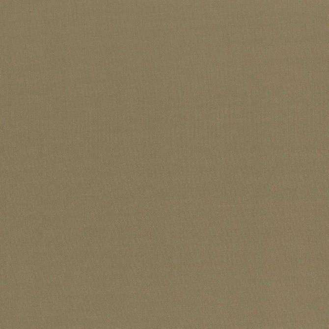 Seductive Herb by Kasmir Fabric 5052 100% Polyester INDIA 6,000 Wyzenbeek Double Rubs Horizontal: 0 Inches and Vertical: 0 Inches 53 - Fabric Carolina -