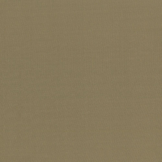 Seductive Herb by Kasmir Fabric 5052 100% Polyester
 INDIA </p><p>Repeat: Horizontal: N/A and Vertical: N/A 53 - Fabric Carolina -