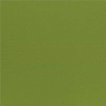 Seductive Olive by Kasmir Fabric 5052 100% Polyester INDIA 6,000 Wyzenbeek Double Rubs H: N/A, V: N/A 53 - Fabric Carolina - Kasmir