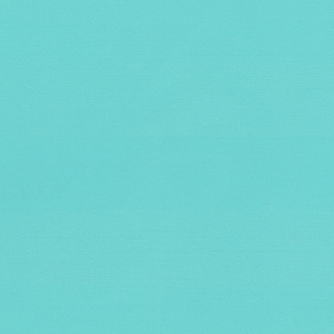 Seductive Paradise by Kasmir Fabric 5052 100% Polyester
 INDIA </p><p>Repeat: Horizontal: N/A and Vertical: N/A 53 - Fabric Carolina -