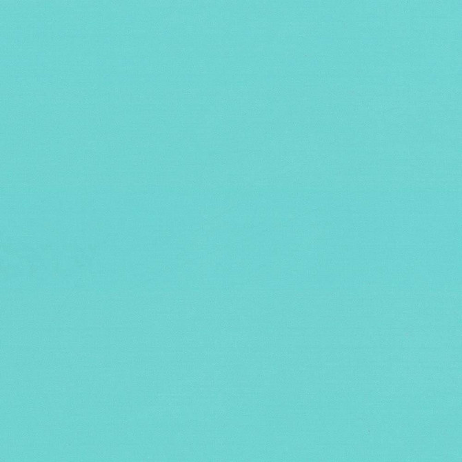 Seductive Paradise by Kasmir Fabric 5052 100% Polyester
 INDIA 6,000 Wyzenbeek Double Rubs </p><p>Repeat: Horizontal: N/A and Vertical: N/A 53 - Fabric Carolina -