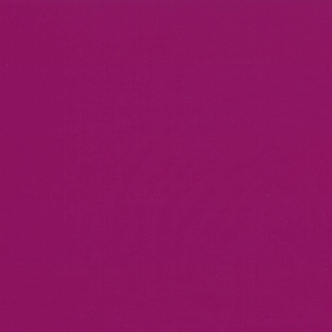 Seductive Passion by Kasmir Fabric 5052 100% Polyester
 INDIA 6,000 Wyzenbeek Double Rubs Horizontal: N/A and Vertical: N/A 53 - Fabric Carolina -