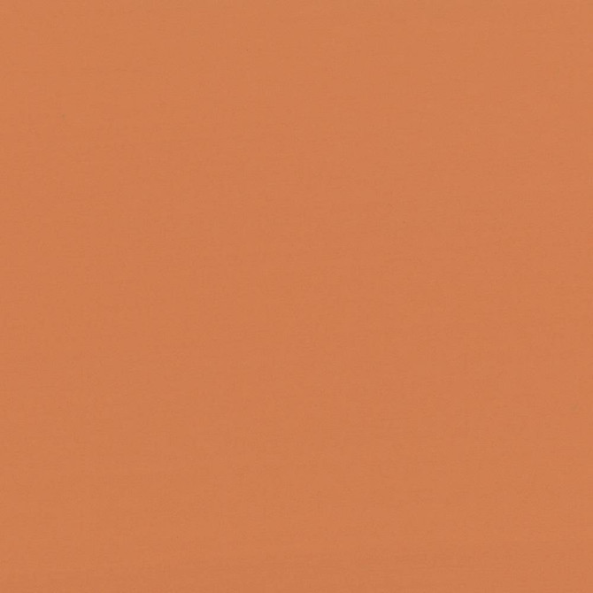 Seductive Pumpkin by Kasmir Fabric 5052 100% Polyester
 INDIA </p><p>Repeat: Horizontal: N/A and Vertical: N/A 53 - Fabric Carolina -