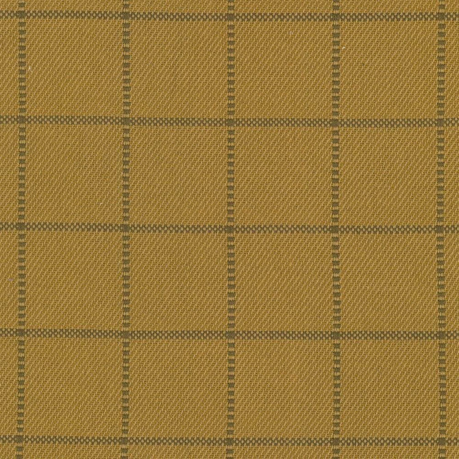 Skylar Check Oro  by Kasmir Fabric See sample 100% Cotton
 INDIA 9,000 Wyzenbeek Double Rubs </p><p>Repeat: Horizontal: 2 2/8 inches and Vertical: 2 2/8 inches 54  - Fabric Carolina -