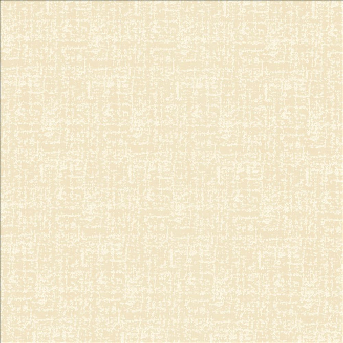 Spackle Sand by Kasmir Fabric 5110 100% Polyester
 INDIA </p><p>Repeat: Horizontal: N/A and Vertical: N/A 54 - 55 - Fabric Carolina -