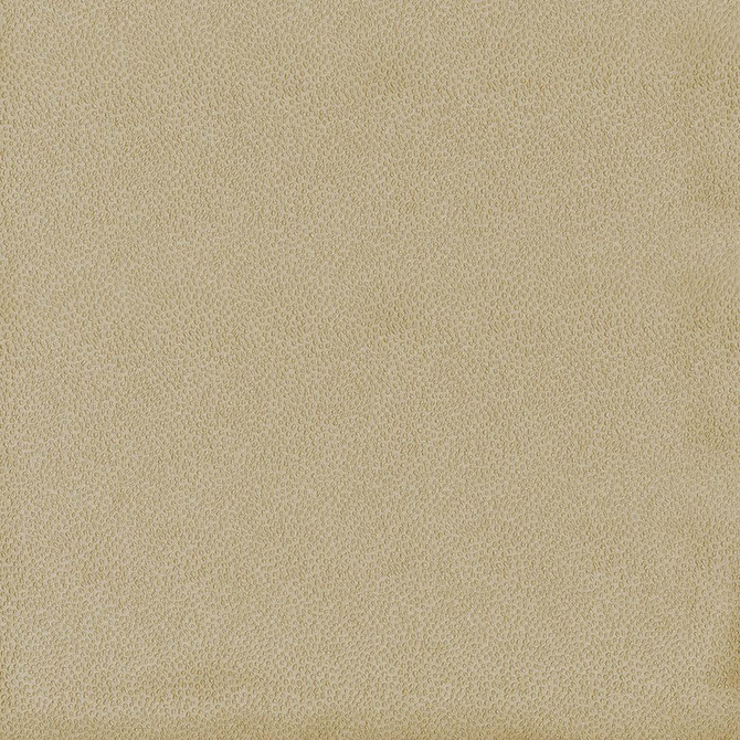 Spontaneity Cedar by Kasmir Fabric 5092 100% Polyester
 INDIA </p><p>Repeat: Horizontal: N/A and Vertical: N/A 54 - 55 - Fabric Carolina -