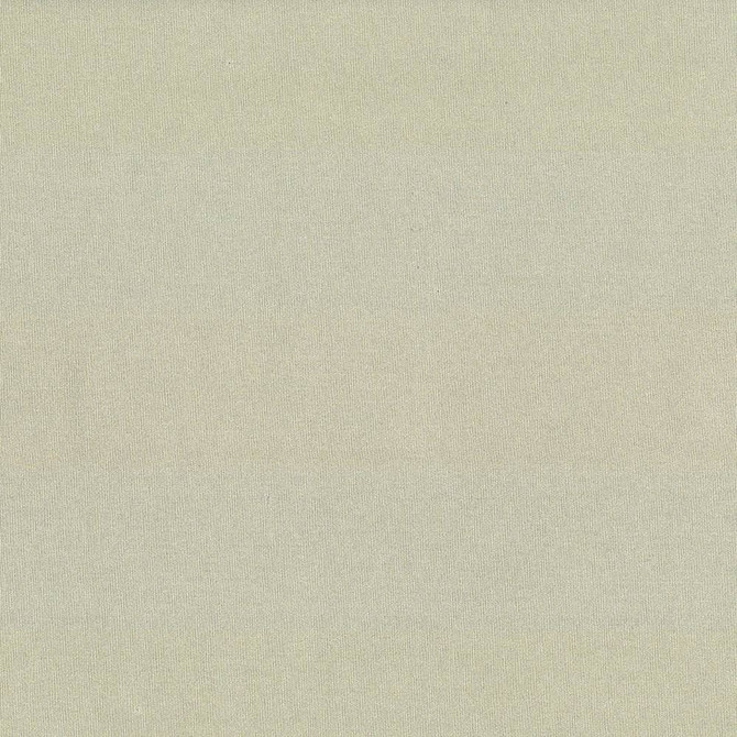 St Dupont Linen by Kasmir Fabric 5045 54% Cotton
46% Polyester
 INDIA 23,000 Wyzenbeek Double Rubs </p><p>Repeat: Horizontal: N/A and Vertical: N/A 54 - Fabric Carolina -