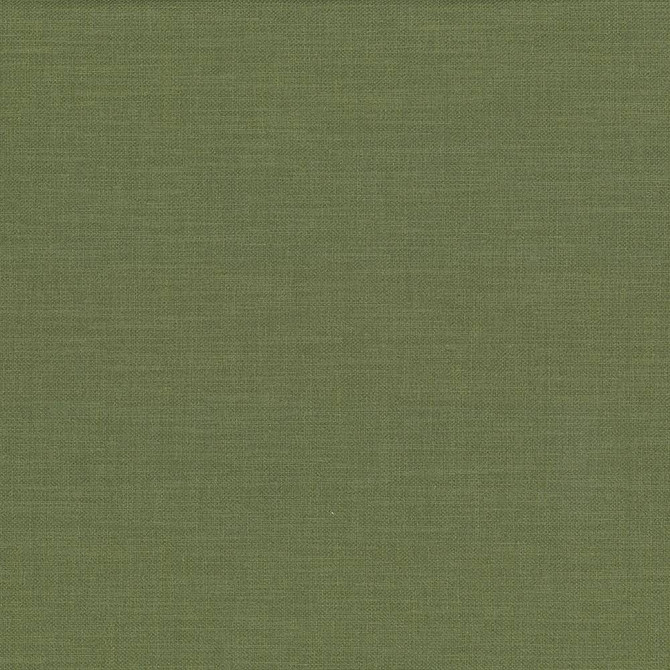 Subtle Chic Forest by Kasmir Fabric 5040 INDIA 50,000 Wyzenbeek Double Rubs H: N/A, V:N/A 55 - 57 - Fabric Carolina - Kasmir