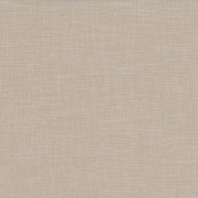 Subtle Chic Latte by Kasmir Fabric 5040 INDIA 50,000 Wyzenbeek Double Rubs H: N/A, V:N/A 55 - 57 - Fabric Carolina - Kasmir