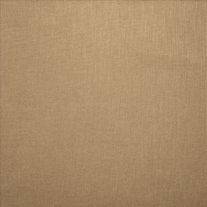 Subtle Chic Latte by Kasmir Fabric 5040 100% Polyester
 INDIA 50,000 Wyzenbeek Double Rubs </p><p>Repeat: Horizontal: N/A and Vertical: N/A 54 - Fabric Carolina -