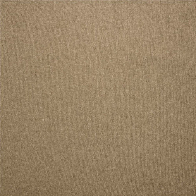 Subtle Chic Latte by Kasmir Fabric 5040 100% Polyester
 INDIA </p><p>Repeat: Horizontal: N/A and Vertical: N/A 54 - 57 - Fabric Carolina -