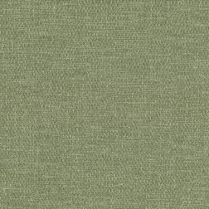 Subtle Chic Pine by Kasmir Fabric 5040 INDIA 50,000 Wyzenbeek Double Rubs H: N/A, V:N/A 55 - 57 - Fabric Carolina - Kasmir