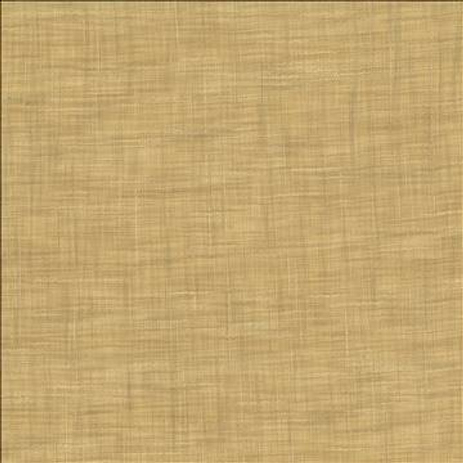 Tao Texture Parchment by Kasmir Fabric 5061 100% Polyester INDIA Not Tested H: N/A, V: N/A 54 - Fabric Carolina - Kasmir