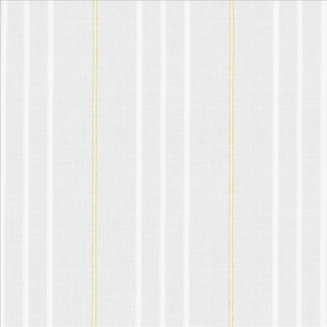 Tebaldi Natural by Kasmir Fabric 5076 100% Polyester TURKEY Horizontal: 9 inches and Vertical: 0 Inches 117 - 118 - Fabric Carolina -