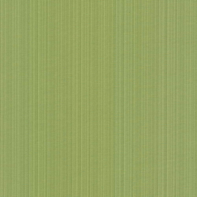 Vanda Fern by Kasmir Fabric 5099 52% Cotton
48% Polyester
 INDIA </p><p>Repeat: Horizontal: N/A and Vertical: N/A 55 - Fabric Carolina -