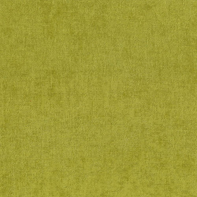 Vestige Basil by Kasmir Fabric 5051 100% Polyester
 CHINA </p><p>Repeat: Horizontal: N/A and Vertical: N/A 55 - Fabric Carolina -
