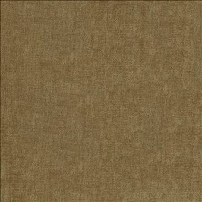 Vestige Beaver by Kasmir Fabric 5051 100% Polyester CHINA 30,000 Wyzenbeek Double Rubs H: N/A, V: N/A 55 - Fabric Carolina - Kasmir
