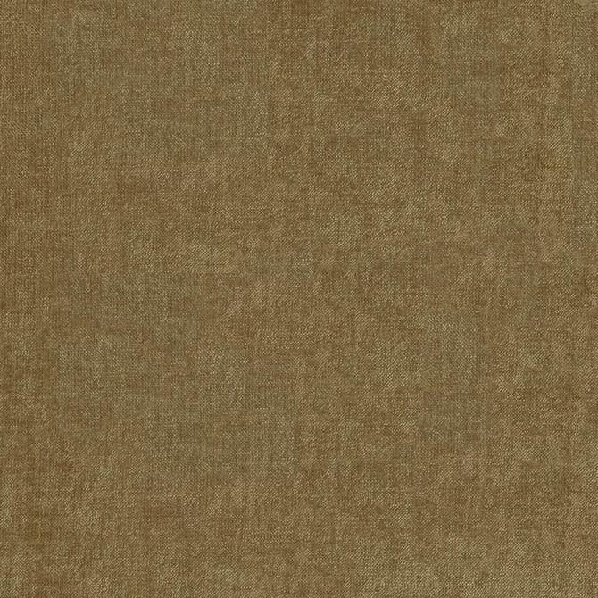 Vestige Beaver by Kasmir Fabric 5051 100% Polyester
 CHINA </p><p>Repeat: Horizontal: N/A and Vertical: N/A 55 - Fabric Carolina -