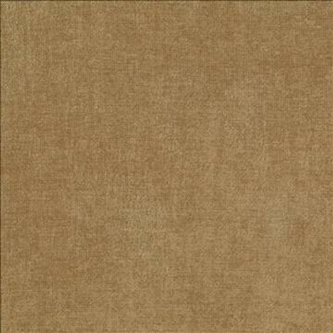 Vestige Latte by Kasmir Fabric 5051 100% Polyester CHINA 30,000 Wyzenbeek Double Rubs H: N/A, V: N/A 55 - Fabric Carolina - Kasmir