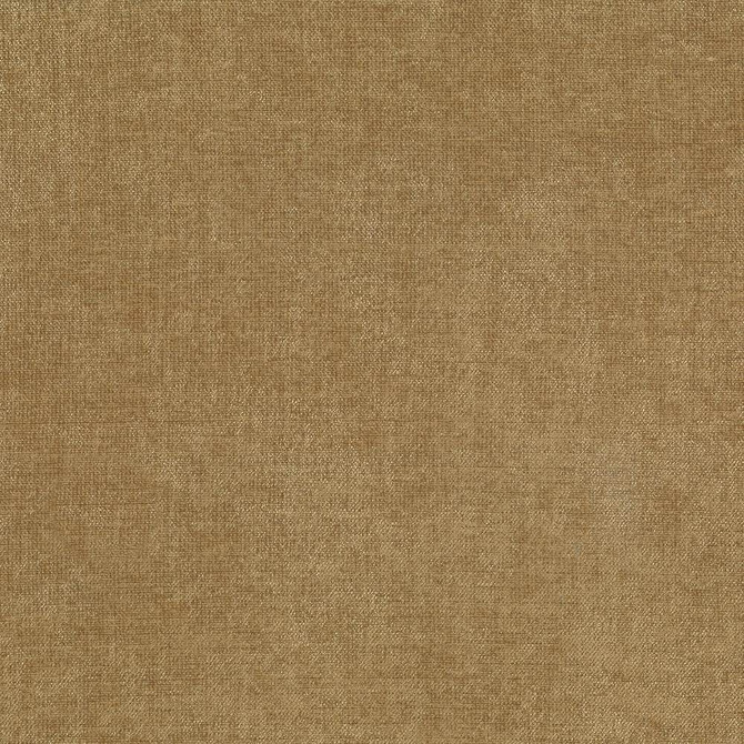 Vestige Latte by Kasmir Fabric 5051 100% Polyester
 CHINA </p><p>Repeat: Horizontal: N/A and Vertical: N/A 55 - Fabric Carolina -