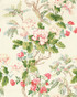 Chinese Peony Rose by Lee Jofa Fabric