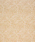 Tomasini 11313 M10509 by Barrow Fabric