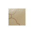 Amellep 0P by Winfield Thybony Wallcovering