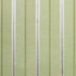 Talon Green Apple 6938211000 by Carole Fabric Exclusive Timeless Chic 100% Polyester CHINA H: 5"H  58" Minimum (See sample for specifics) - Fabric Carolina - Carole Exclusive