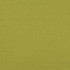 Lansdowne Lime by Baker Lifestyle Fabric NOTEBOOKS POLYESTER - 100% China HEAVY Horizontal: and Vertical: 55.16 - Fabric Carolina -