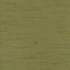 Lydia Celery by Carole Fabric Lydia 100% Polyester Fr India N/A Horizontal: None and Vertical: None 54" - Fabric Carolina -